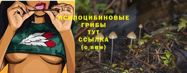 ALPHA PVP Нефтекумск