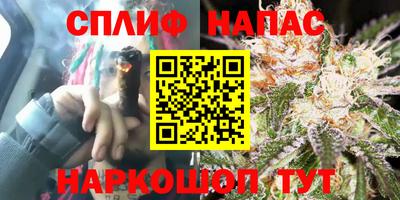 стаф Аргун