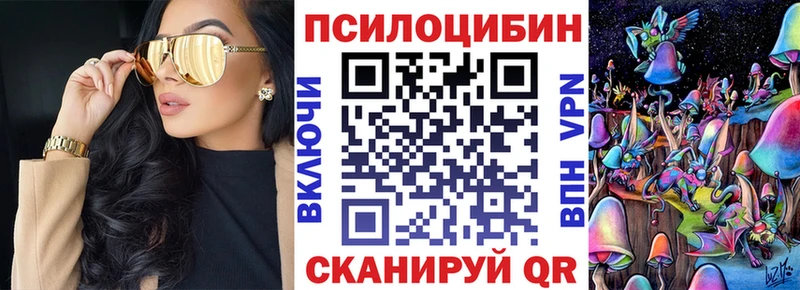 Псилоцибиновые грибы Cubensis Сафоново