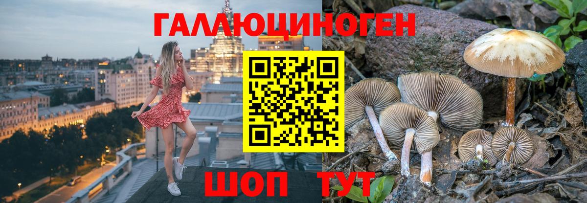 Галлюциногенные грибы мицелий Сафоново